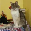 Отзыв от Екатерина Чернышева